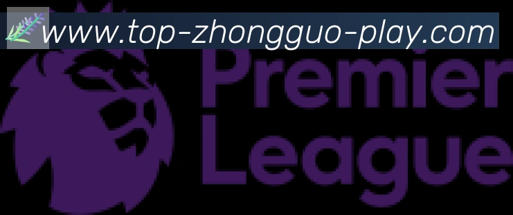 中国体彩网合作伙伴